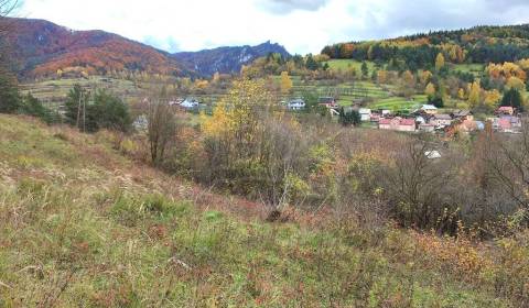 Kaufen Garten, Garten, Bytča, Slowakei