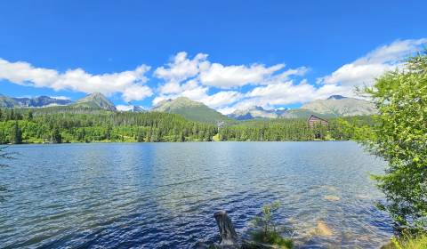 Kaufen landwirtsch. Grundstücke, landwirtsch. Grundstücke, Poprad, Slo