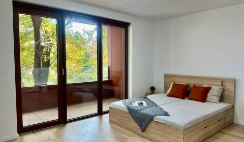 Mieten 1-Zimmer-Wohnung, 1-Zimmer-Wohnung, Košická, Bratislava - Ružin