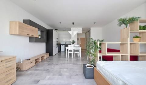 Kaufen 1-Zimmer-Wohnung, 1-Zimmer-Wohnung, Trnavská cesta, Bratislava 