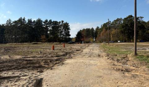 Kaufen Baugrund, Baugrund, Pod Borovicou, Malacky, Slowakei