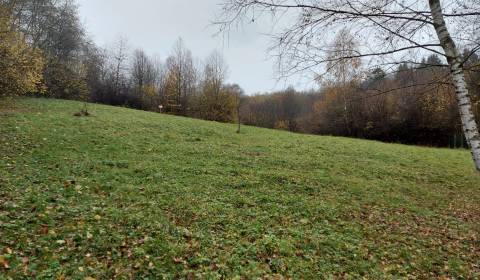 Kaufen Baugrundstück Erholung, Baugrundstück Erholung, Martin, Slowake