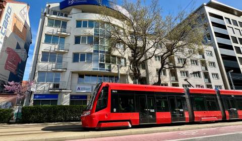 Mieten Büros, Büros, Námestie slobody, Bratislava - Staré Mesto, Slowa