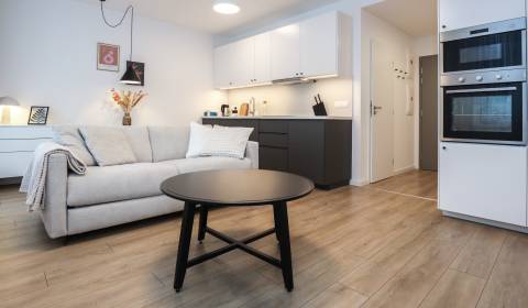 Mieten 1-Zimmer-Wohnung, 1-Zimmer-Wohnung, Ivánska cesta, Bratislava -