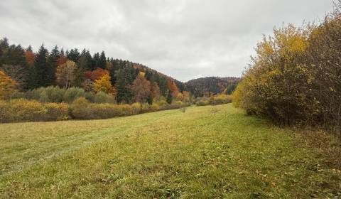 Kaufen Baugrundstück Erholung, Baugrundstück Erholung, Čertov, Púchov,