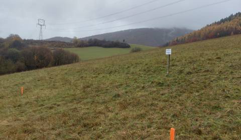 Kaufen Baugrundstück Erholung, Baugrundstück Erholung, Martin, Slowake