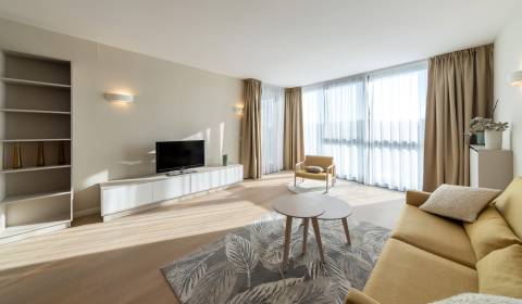 Mieten 2-Zimmer-Wohnung, 2-Zimmer-Wohnung, Pribinova, Bratislava - Sta