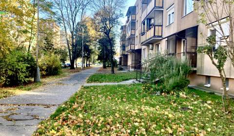 Kaufen 1-Zimmer-Wohnung, 1-Zimmer-Wohnung, Eótvosa, Komárno, Slowakei