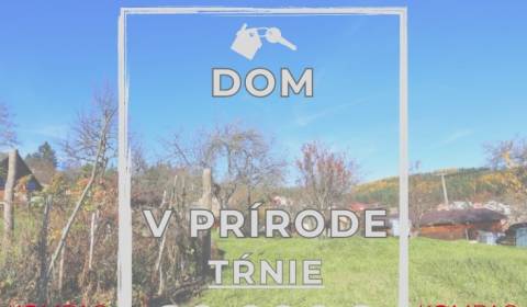 Kaufen Einfamilienhaus, Einfamilienhaus, Zvolen, Slowakei