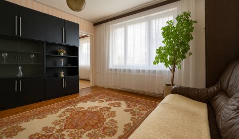 Kaufen Einfamilienhaus, Einfamilienhaus, Záhradná, Žiar nad Hronom, Sl