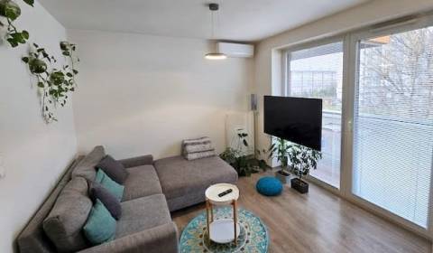 Mieten 2-Zimmer-Wohnung, 2-Zimmer-Wohnung, Muchovo nám., Bratislava - 