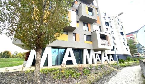 Mieten 3-Zimmer-Wohnung, 3-Zimmer-Wohnung, Nejedlého, Bratislava - Dúb