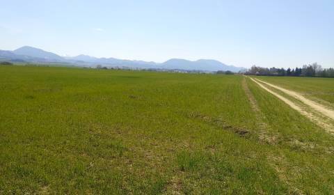 Kaufen Baugrund, Baugrund, Martin, Slowakei