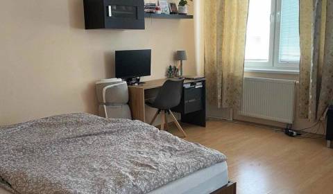 Mieten 1-Zimmer-Wohnung, 1-Zimmer-Wohnung, Galvaniho, Bratislava - Ruž