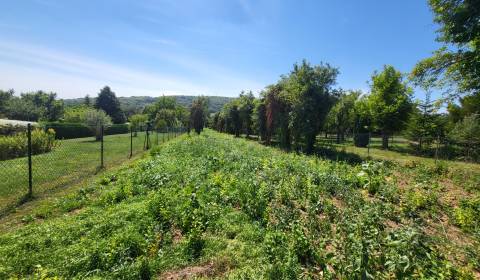 Großzügiges Baugrundstück in Edelstal