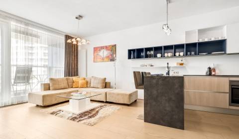 Kaufen 2-Zimmer-Wohnung, 2-Zimmer-Wohnung, Landererova, Bratislava - S