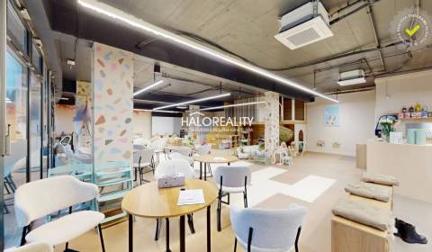 Kaufen Geschäftsräumlichkeiten, Bratislava - Nové Mesto, Slowakei