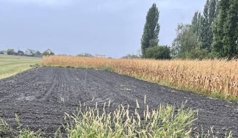 Kaufen Baugrund, Baugrund, Dunajská Streda, Slowakei