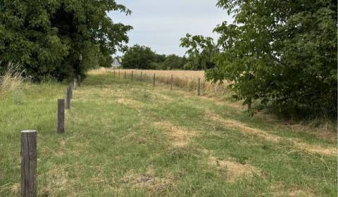 Kaufen Baugrund, Baugrund, Dunajská Streda, Slowakei