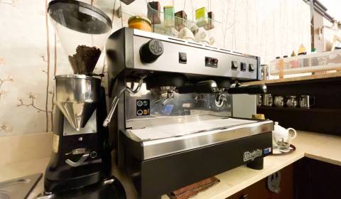 Kaufen Geschäftsräumlichkeiten, Geschäftsräumlichkeiten, Dunajská Stre