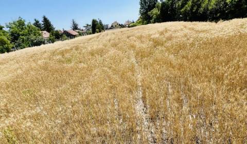 Kaufen Baugrund, Baugrund, Dunajská Streda, Slowakei