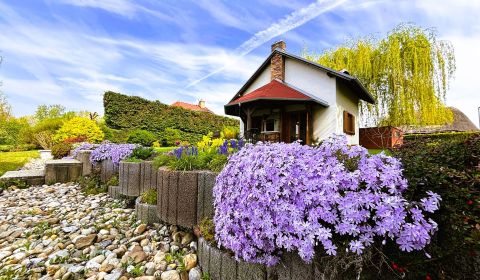 Kaufen Einfamilienhaus, Einfamilienhaus, Dunajská Streda, Slowakei