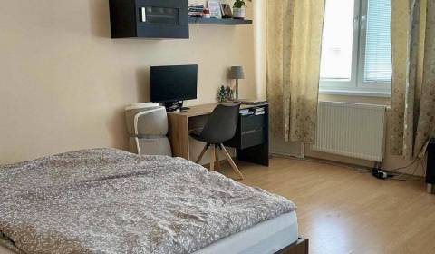 Mieten 1-Zimmer-Wohnung, 1-Zimmer-Wohnung, Galvaniho, Bratislava - Ruž