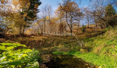 Kaufen Garten, Garten, Nový Svet, Banská Bystrica, Slowakei