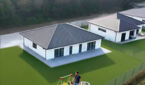Kaufen Einfamilienhaus, Einfamilienhaus, Nové Mesto nad Váhom, Slowake