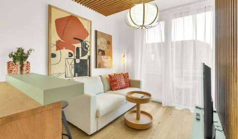 Mieten 1-Zimmer-Wohnung, 1-Zimmer-Wohnung, Žižkova, Bratislava - Staré