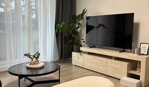 Mieten 3-Zimmer-Wohnung, 3-Zimmer-Wohnung, Dolná, Bratislava - Staré M