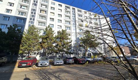 Kaufen 4-Zimmer-Wohnung, 4-Zimmer-Wohnung, Vyšehradská, Bratislava - P