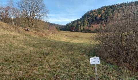 Kaufen landwirtsch. Grundstücke, landwirtsch. Grundstücke, Brezno, Slo