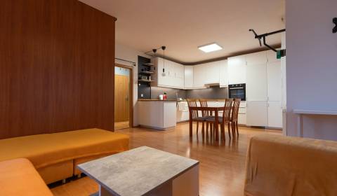 Mieten 1-Zimmer-Wohnung, 1-Zimmer-Wohnung, Vyšehradská, Bratislava - P