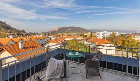Mieten 3-Zimmer-Wohnung, 3-Zimmer-Wohnung, Hainburg, Friedrichstrasse,