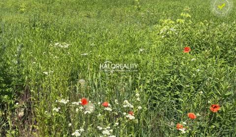 Kaufen Baugrund, Košice-okolie, Slowakei