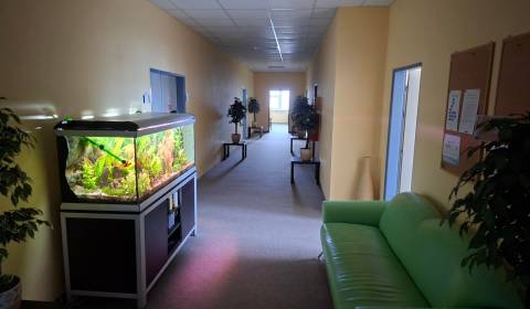 Mieten Büros, Büros, Drobného, Bratislava - Dúbravka, Slowakei