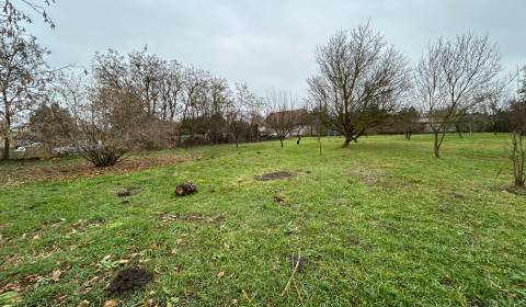 Kaufen Baugrund, Baugrund, Kava hlavná, Komárno, Slowakei