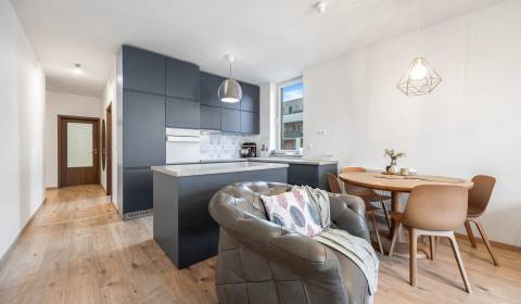 Kaufen 3-Zimmer-Wohnung, 3-Zimmer-Wohnung, Žltá, Bratislava - Petržalk