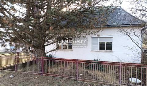 Kaufen Einfamilienhaus, Trebišov, Slowakei