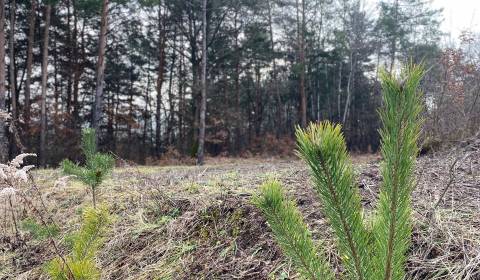 Kaufen Baugrund, Baugrund, Banská Bystrica, Slowakei