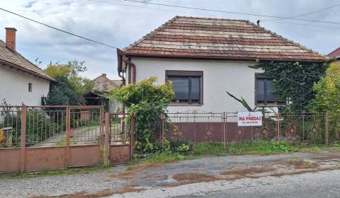 Einfamilienhaus 1+3 mit Zentralheizung + Nebengebäuden