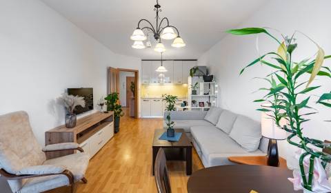 Mieten 2-Zimmer-Wohnung, 2-Zimmer-Wohnung, Jégého, Bratislava - Ružino