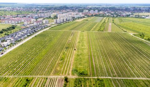 Kaufen Baugrundstück Erholung, Baugrundstück Erholung, Panský chodník,