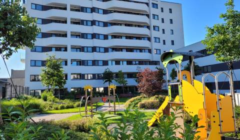 Mieten 2-Zimmer-Wohnung, 2-Zimmer-Wohnung, Bratislava - Petržalka, Slo