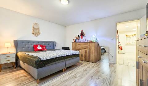 Kaufen Einfamilienhaus, Einfamilienhaus, Trnavská, Senec, Slowakei