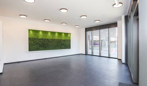 Mieten Geschäftsräumlichkeiten, Geschäftsräumlichkeiten, Súkennícka, B