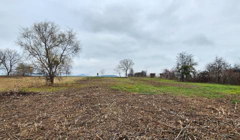 Kaufen Baugrund, Baugrund, Košice-okolie, Slowakei