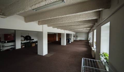 Mieten Büros, Büros, Zalužice, Michalovce, Slowakei