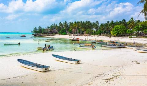 Land 9000 m2, 100 m vom Strand in Kizimkazi